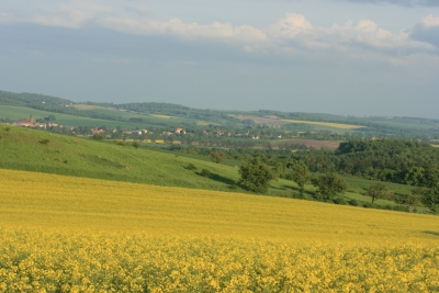 Okolice